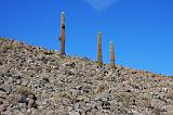 CILE - Sulla strada per San Pedro de Acatama - 12